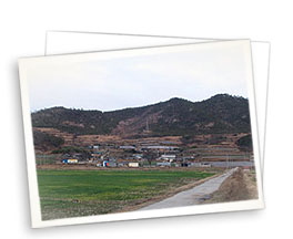 활목마을 (活目里)사진