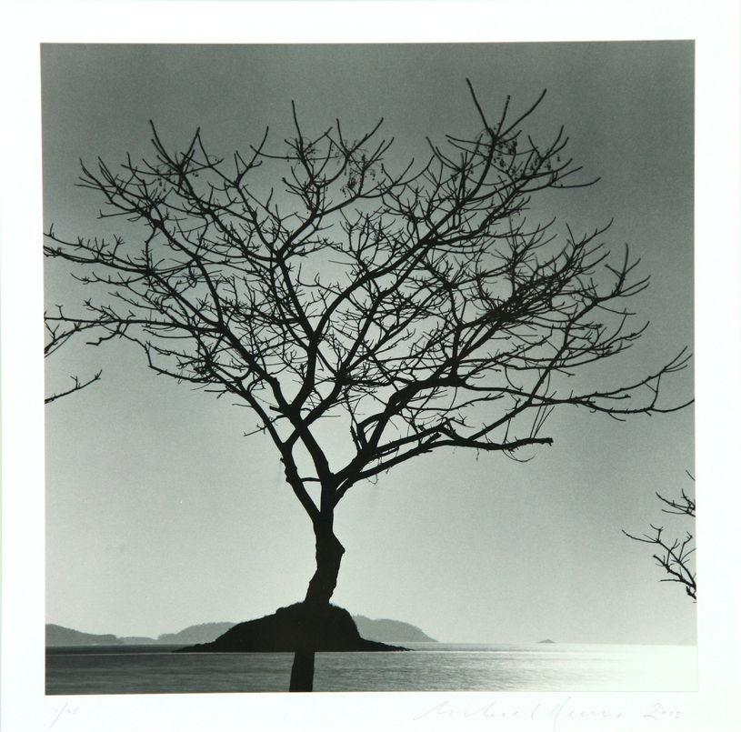 7. Baekgil Beach Tree, Jaeun-do, Shinan, South Korea, 2012 1