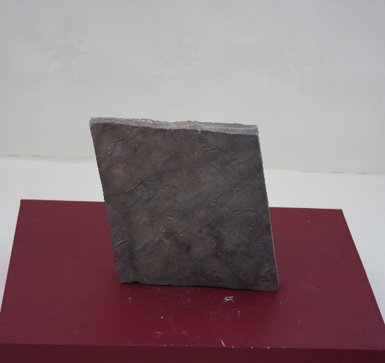751-757. 해파리 화석 (대표사진) 1