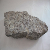 1721-1728.새뼈화석 (대표사진)