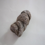  1796-1800. 산호화석 (대표사진)