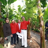 20231101_비금면-바나나 재배시설 방문