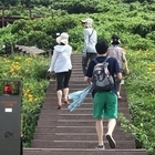 한국인이 꼭 가봐야 할 국내관광지 1위 “홍도”..「최첨단 스마트 마을로」거듭나다...