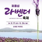 퍼플섬! 2천만 송이 라벤더 꽃 축제 개최..'전국 최대규모 보랏빛 향기'