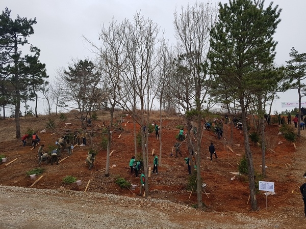 신안군, “제73회 식목일기념 나무심기 행사” 열어..'경관숲 조성으로 산림의 가치향상 기대' 3