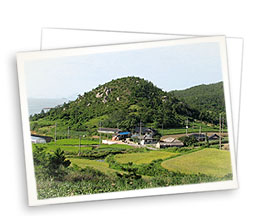진작마을 (梧島里)사진
