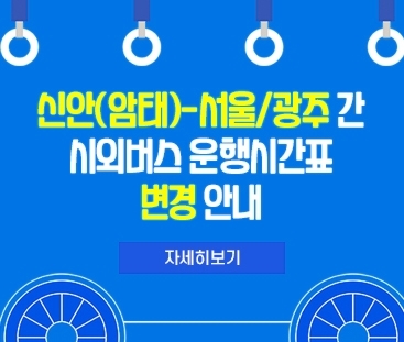 신안(암태)-서울/광주 간 시외버스 운행시간표 변경 안내
자세히보기
(새창열림)
