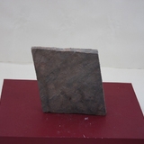 751-757. 해파리 화석 (대표사진)