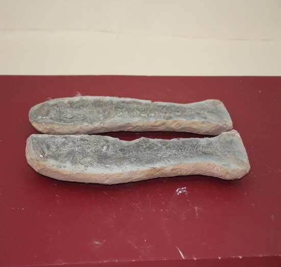 806-810. 어류화석 (대표사진) 1