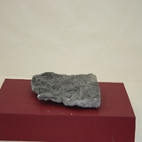 876-880. 암모나이트 (대표사진)