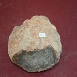 991-1000. 공룡분 화석 (대표사진)
