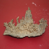1051-1061. 화산석 (대표사진)