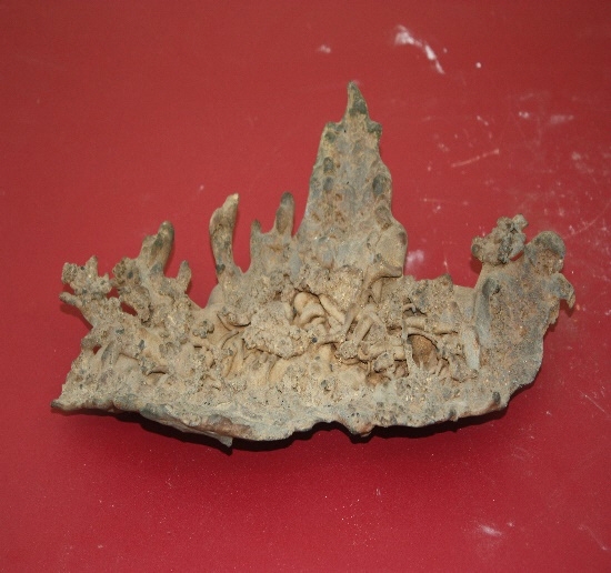 1051-1061. 화산석 (대표사진) 1