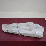 1091-1095. 어류화석 (대표사진)
