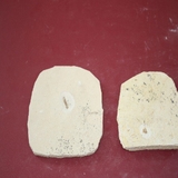 1201-1205. 어류화석 (대표사진)