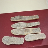 1216-1220. 어류화석 (대표사진)