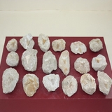 1256-1260. 상어이빨화석 (대표사진)