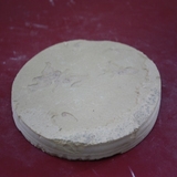 1306-1310. 어류화석 (대표사진)