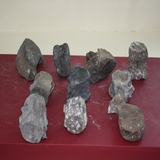 1406-1410. 고래뼈화석 (대표사진)