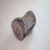 1632-1643. 고래뼈화석