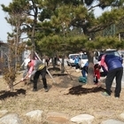 「임자 주민자치위원회」도로변 수목가꾸기 봉사활동