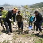 신안,「숲속의 전남」섬지역 나무심기 행사 열려