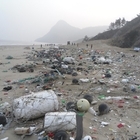 신안군, 해양쓰레기 제로화로 해양환경보전 기대