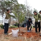 신안군, “제73회 식목일기념 나무심기 행사” 열어..'경관숲 조성으로 산림의 가...
