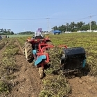 신안땅콩 기계화 수확 시작..'땅콩 전용 생분해성 멀칭비닐 사용, 기계 수확 실현...