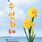 ‘2024 섬 수선화 축제’ 다가오는 2백만 송이의 봄꽃 향연