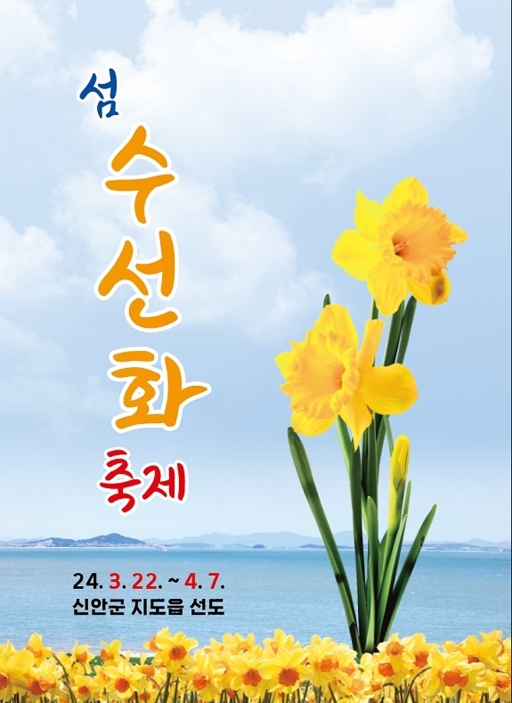 ‘2024 섬 수선화 축제’ 다가오는 2백만 송이의 봄꽃 향연1