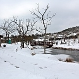2012년 12월 압해읍 분재공원