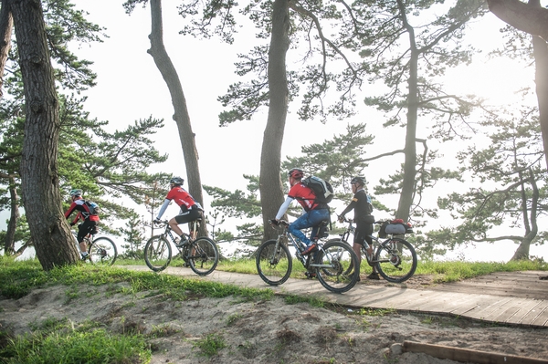신안 1004섬 자전거길 국내에서 가장 가보고 싶은 자전거 여행지로 우뚝서다 2
