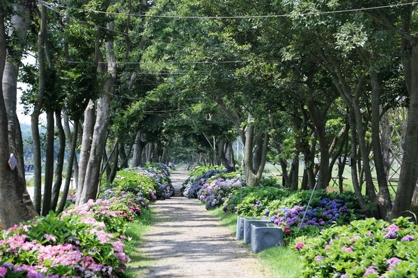 신안군 도초 ‘환상의 정원’ 산림청 인증 모범도시숲으로 선정 2