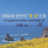 '1004섬 신안'이 꽃 섬으...